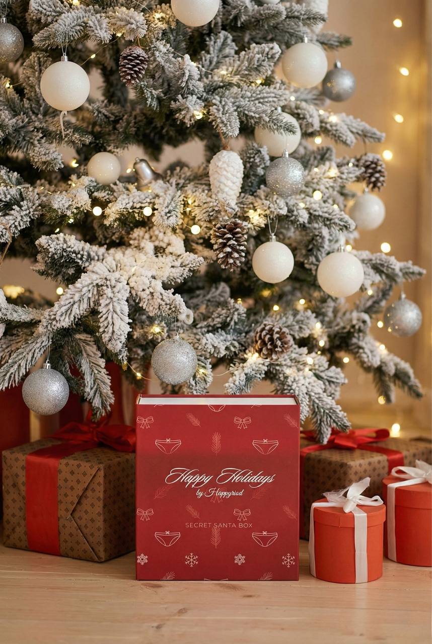 Secret Santa box Happyriod